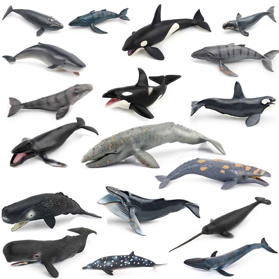 Modelos Realistas de Animais M - Kids Educational Game avaliação e preço