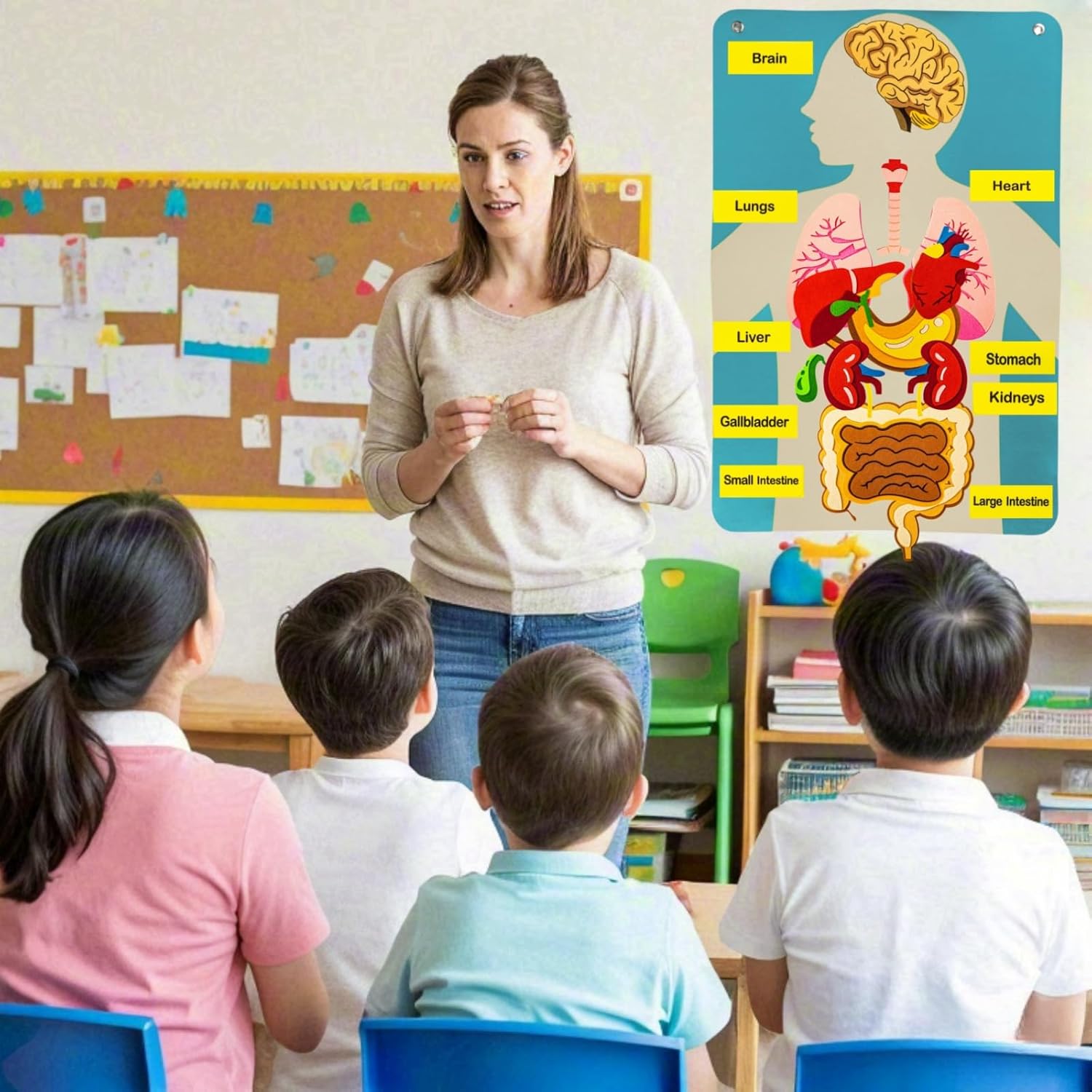 Peças do corpo humano, placa d - Kids Education Activities avaliação e preço