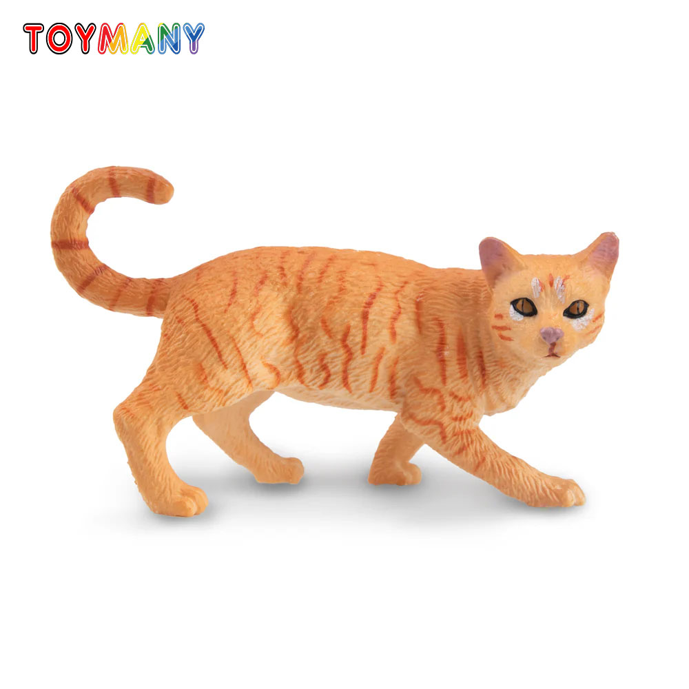 Toymany simulação estriando la - Kids Education Yes avaliação e preço