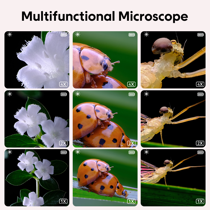 Mini microscópio óptico infant - Kids Educational Videos avaliação e preço